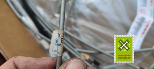IMG_20230828_103827